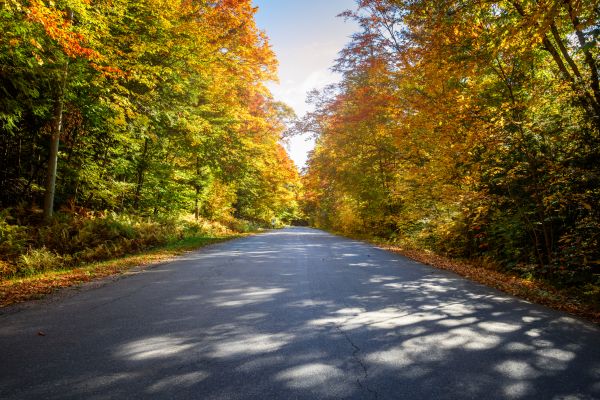 Cost of Blacktop Replacement in Providence
